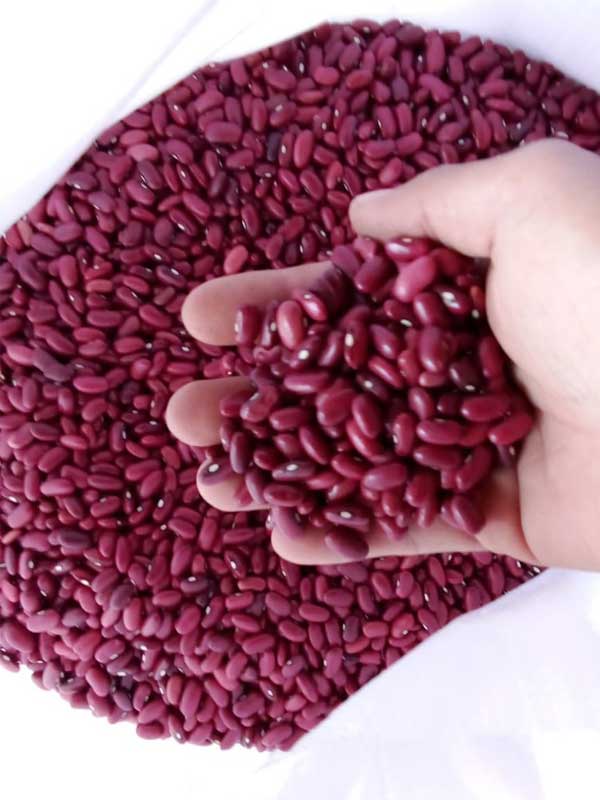 Red Beans